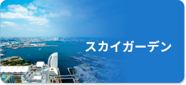 スカイガーデン